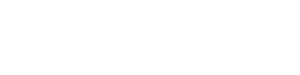 Netrunner V
